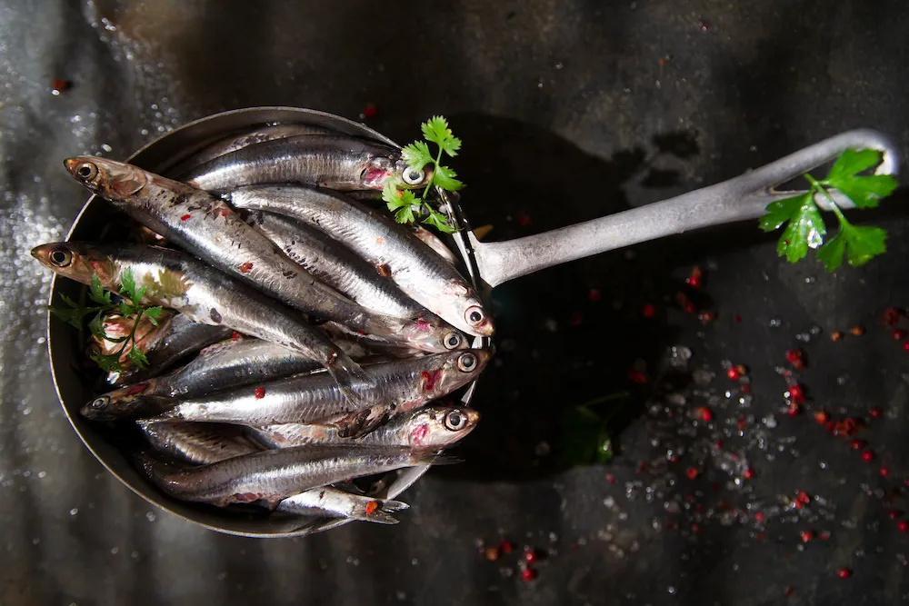 A pan filled with fresh, whole sardines, highlighting a low-mercury, omega-3 rich foraging fish
