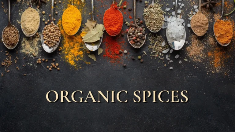 Flatlay of organic spices on spoons over dark background with text Organic Spices in center Flatlay of organic spices on spoons over dark background with text Organic Spices in center